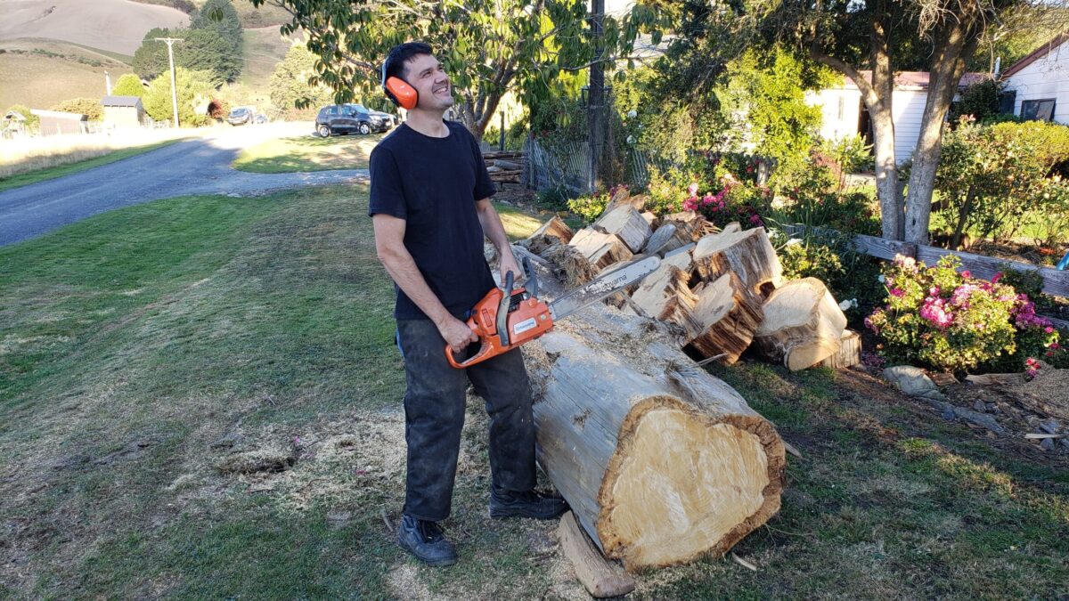 bucking firewood with husqvarna 450
