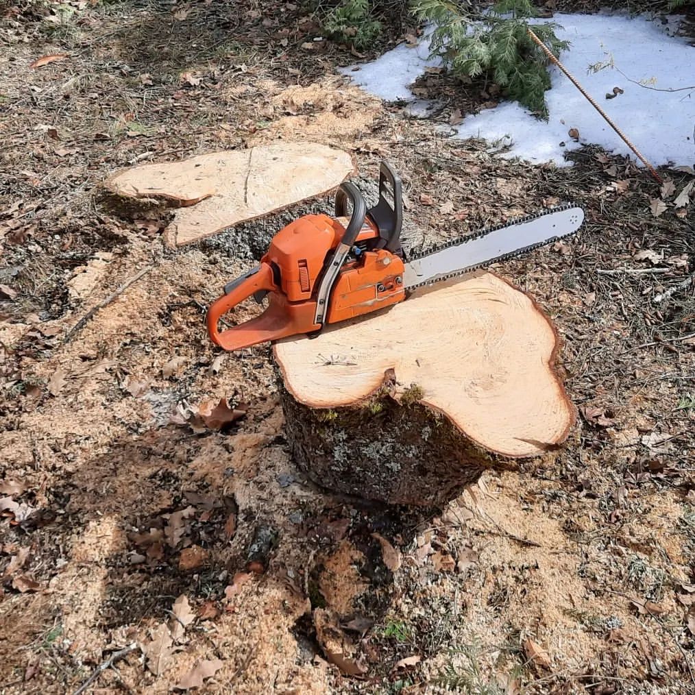 testing and trying the husqvarna 359 chainsaw