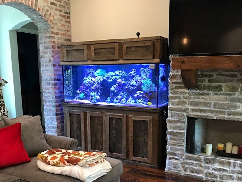 fish tank beside fireplace
