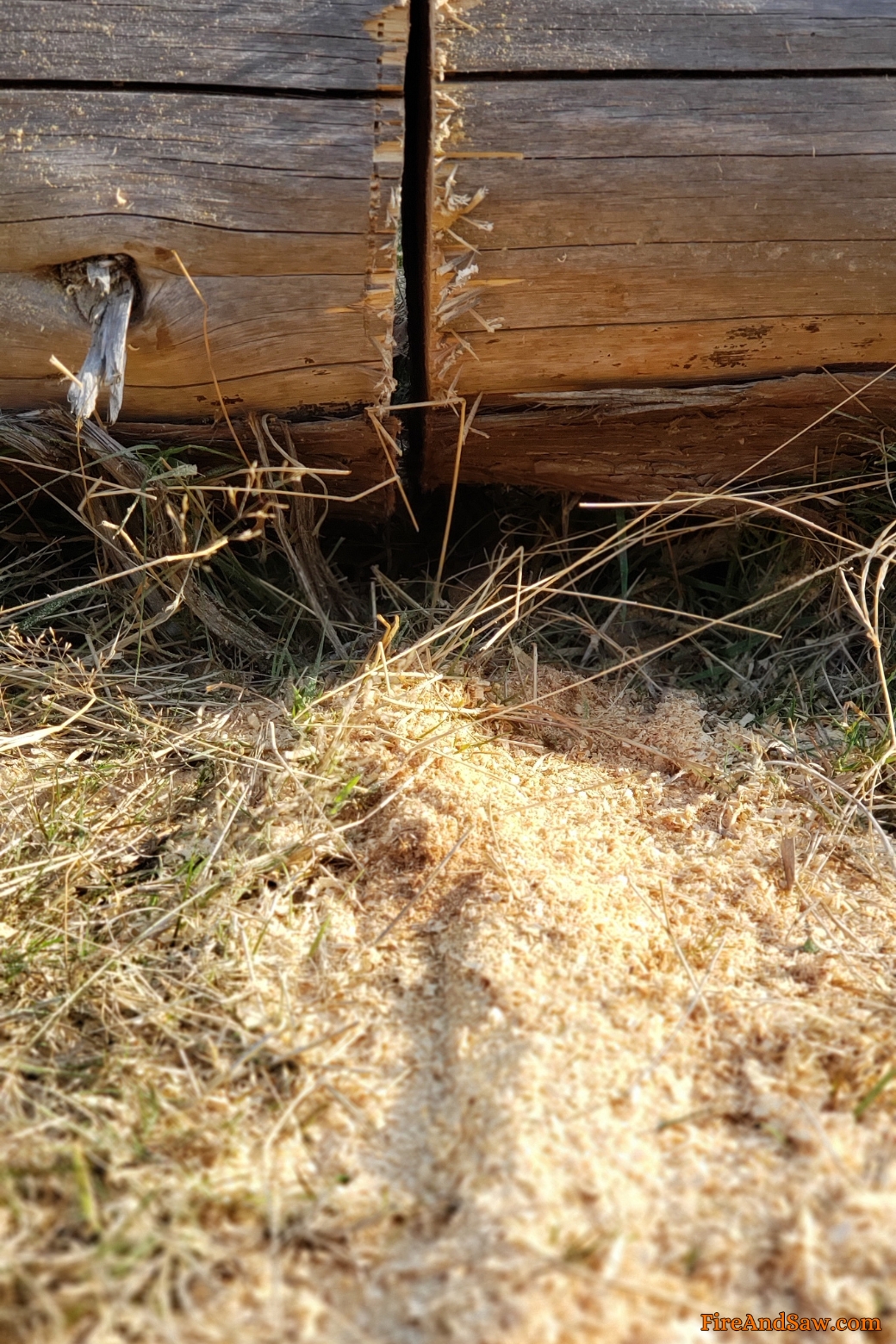 10 BEST Uses For Sawdust How To Use Sawdust Around Home