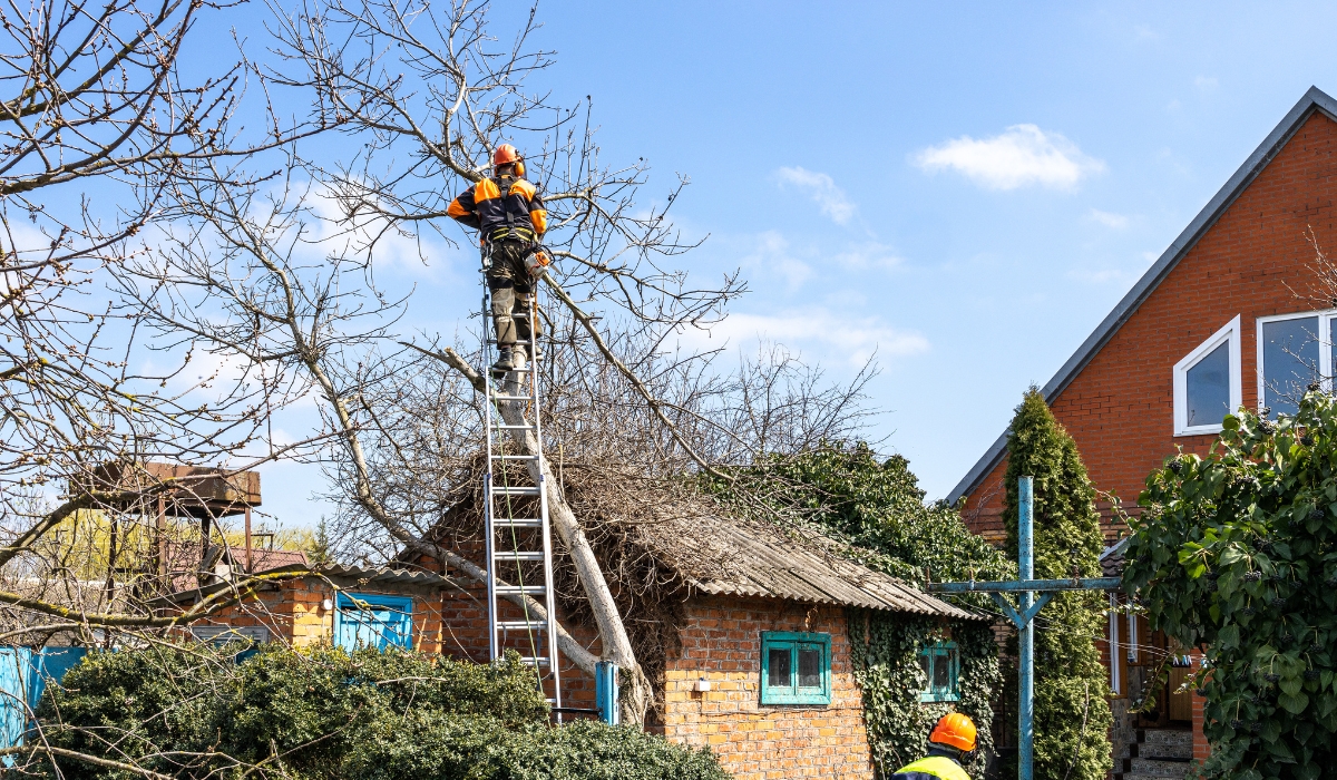 stihl msa 161t problems pros cons