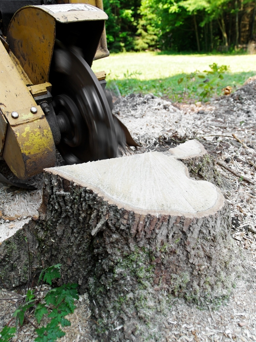 how does a stump grinder work