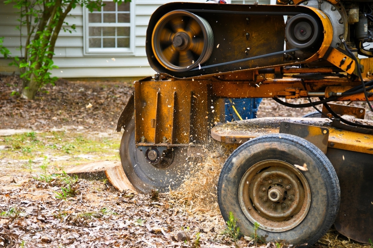 what is a stump grinder