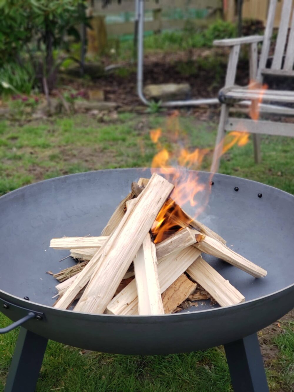 Sunnydaze Round Cast Iron Wood Burning Fire Pit Bowl in Steel