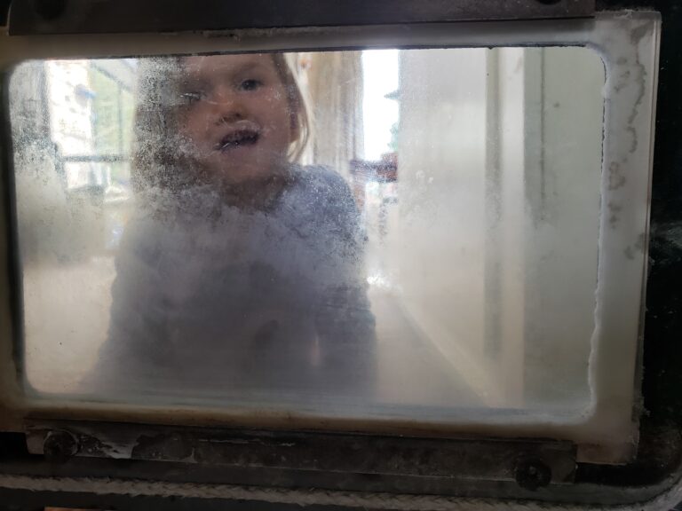 5 BEST Methods For Cleaning Wood Stove Glass 2022 Tried And Tested!