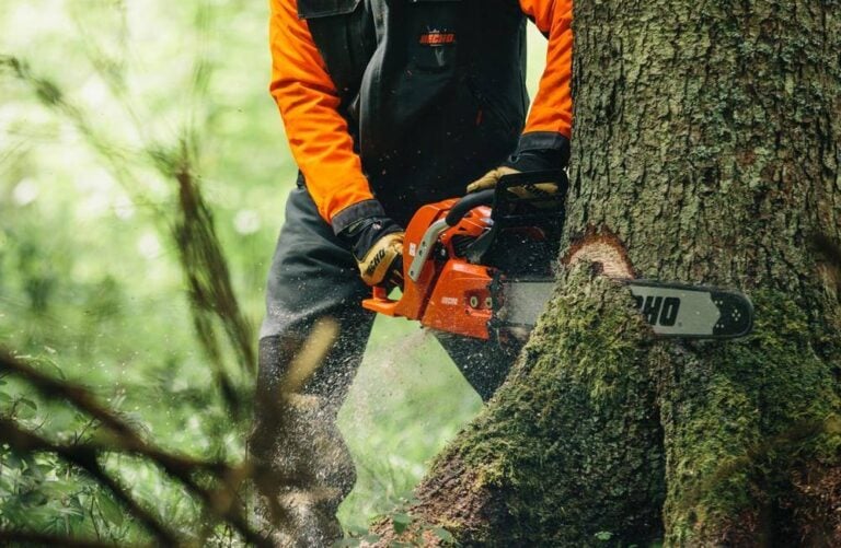 Stihl MS 192T Chainsaw Review [2023] Specs, Price, Versions