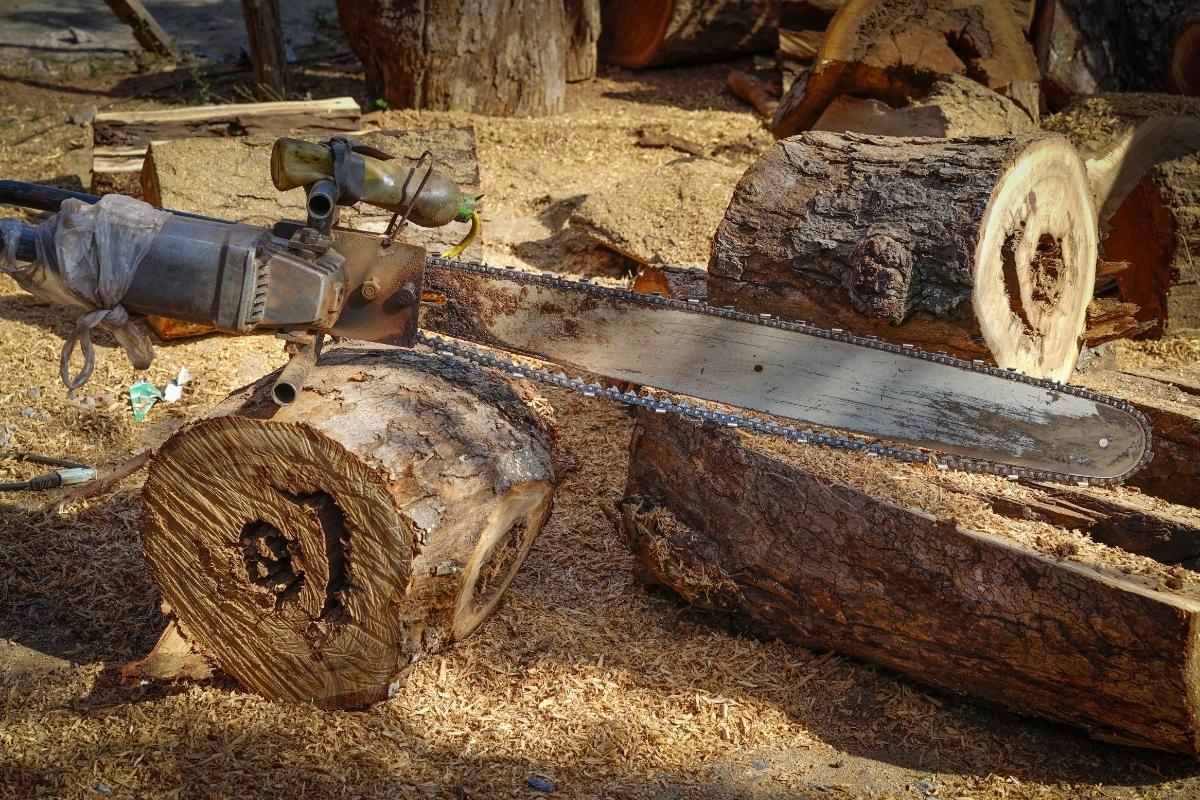 oldest stihl chainsaw