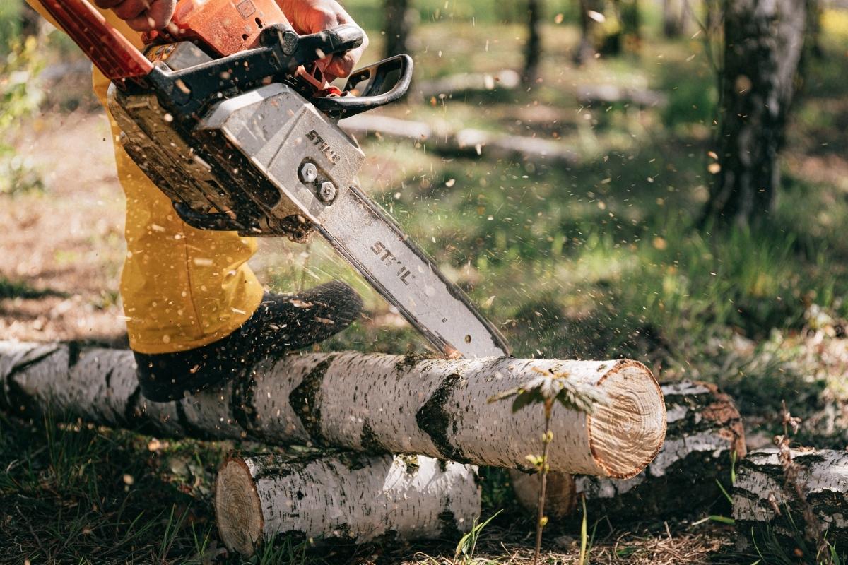 best safety chaps for chainsaw