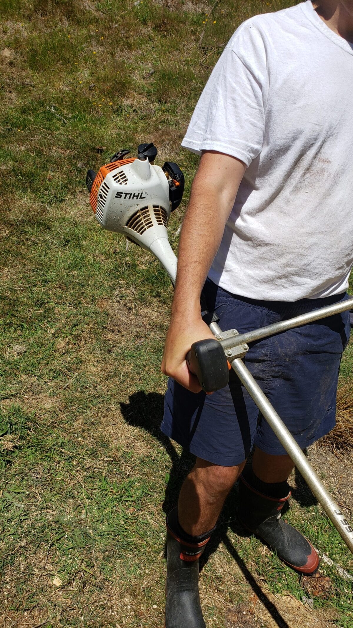 stihl brush cutter review 2022