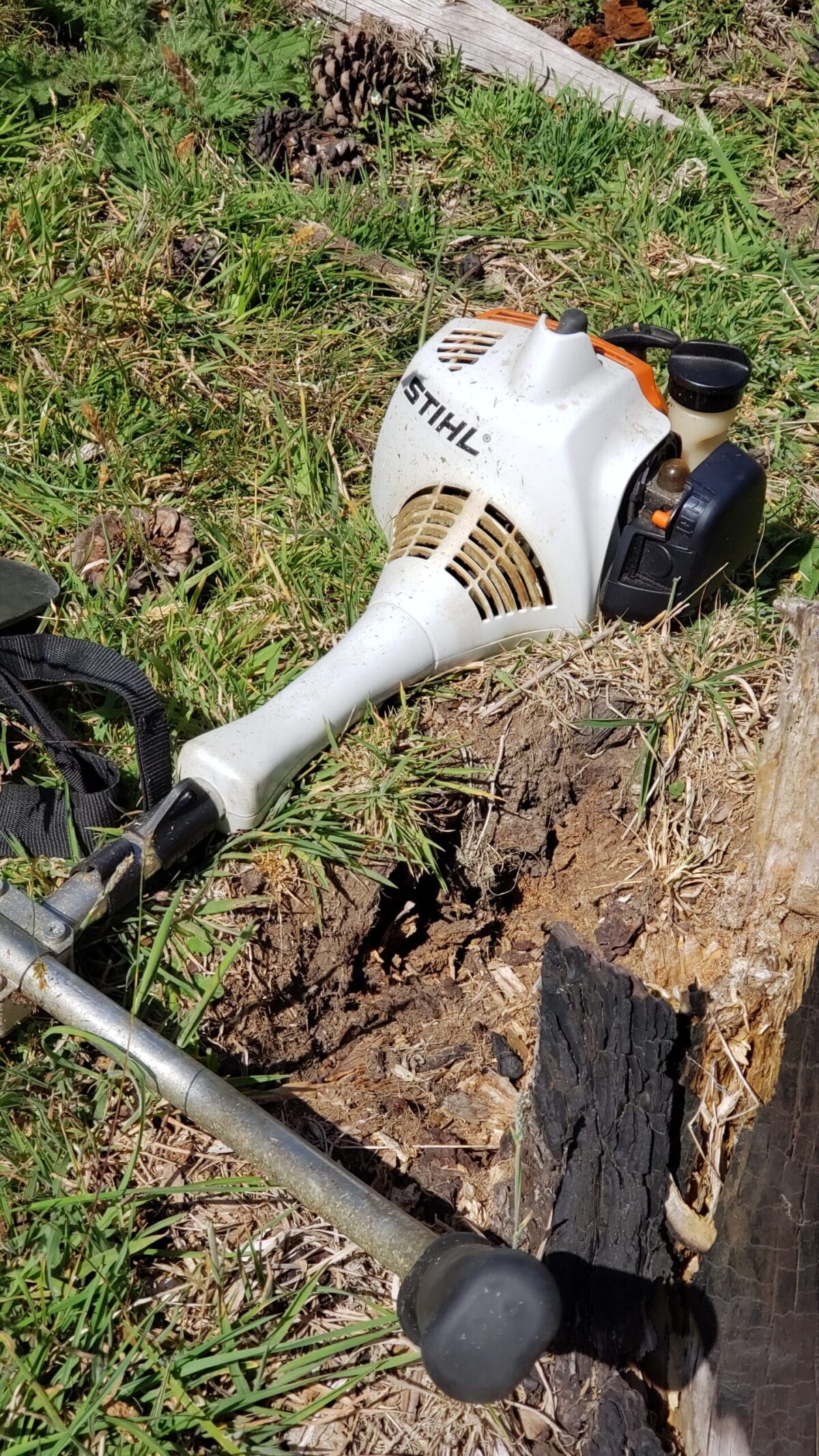 Desbrozadora Stihl FS 55 R