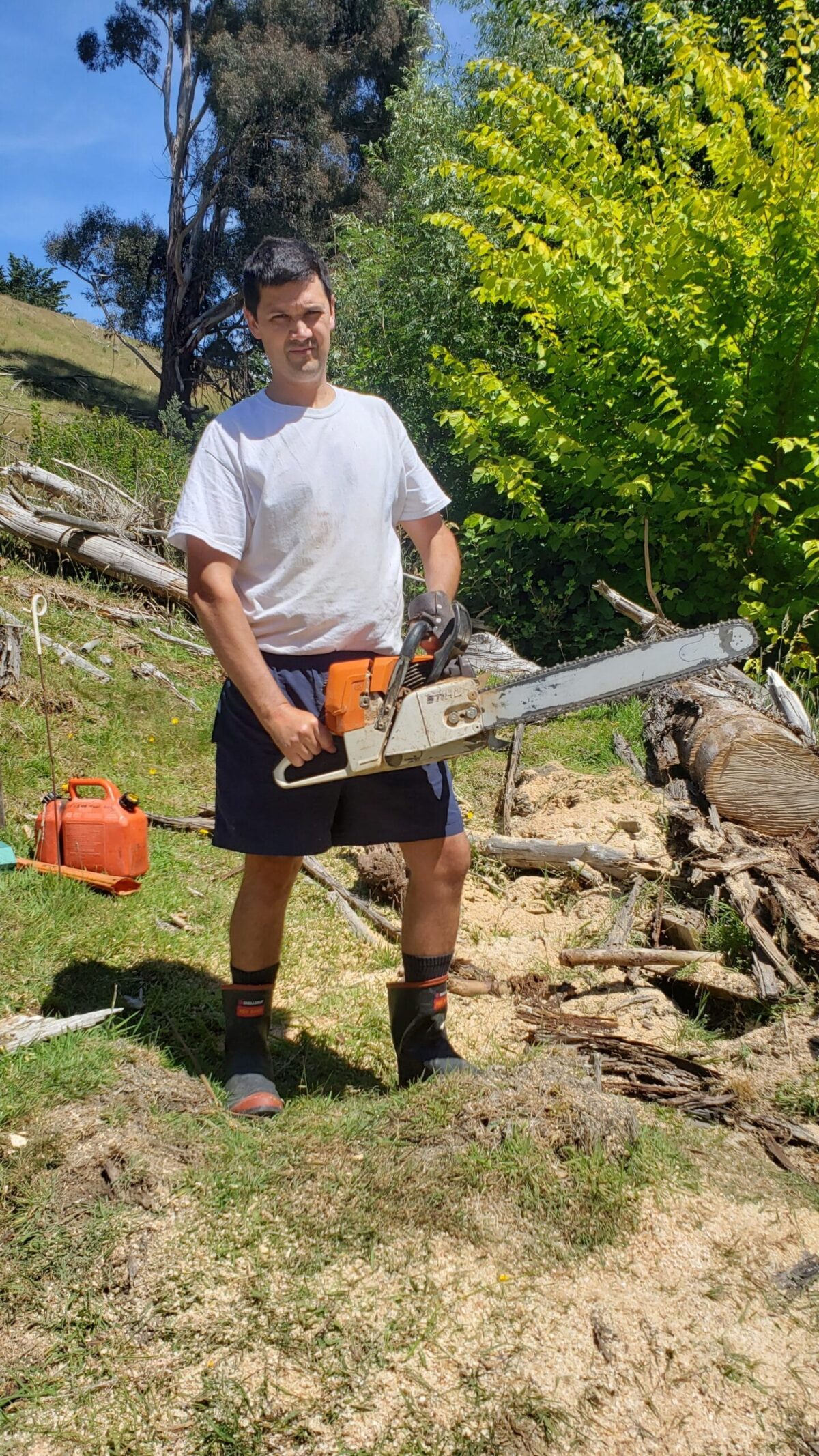 stihl ms440 in action