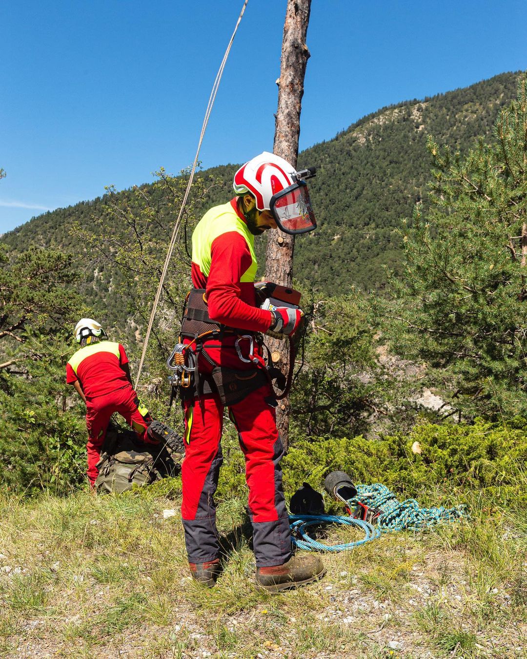 Pfanner Protos Helmet Review Arborist And Chainsaw Helmets
