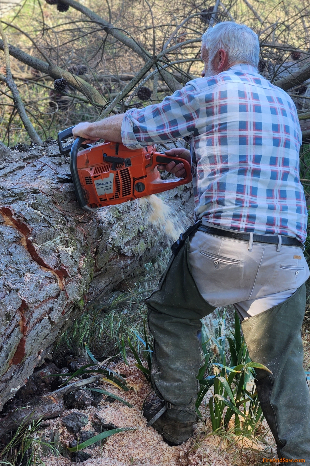 8 TOP METHODS How To Cut Down A Tree With A Chainsaw