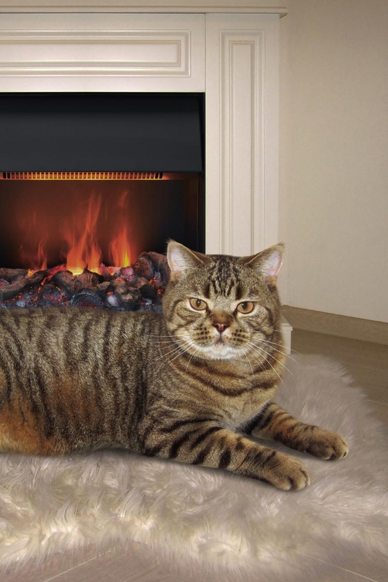 cat proof fireplace screen