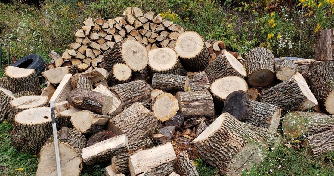 Is there anything to watch out for when burning ash wood as firewood?