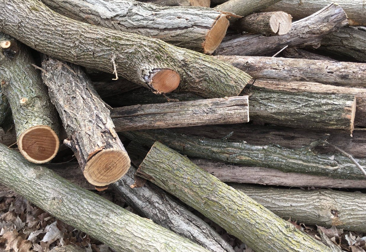 is-black-locust-firewood-good-btus-identification-splitting