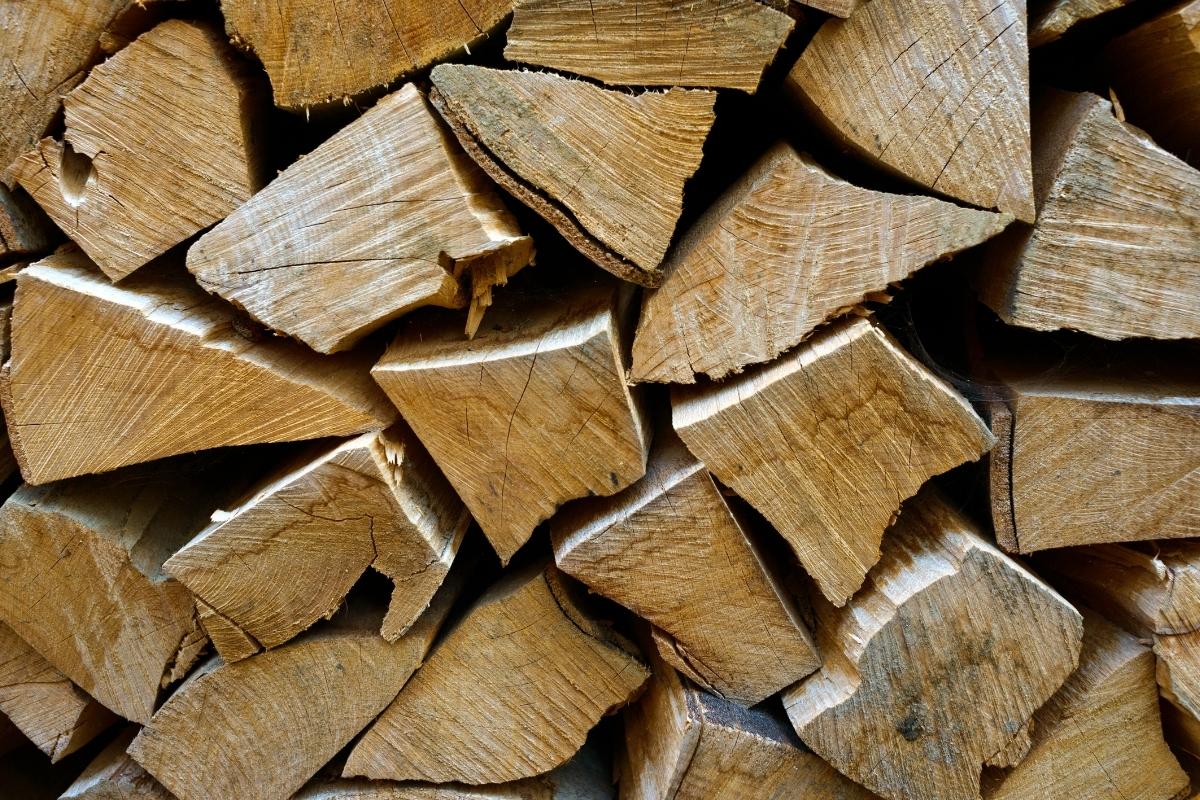 beech firewood