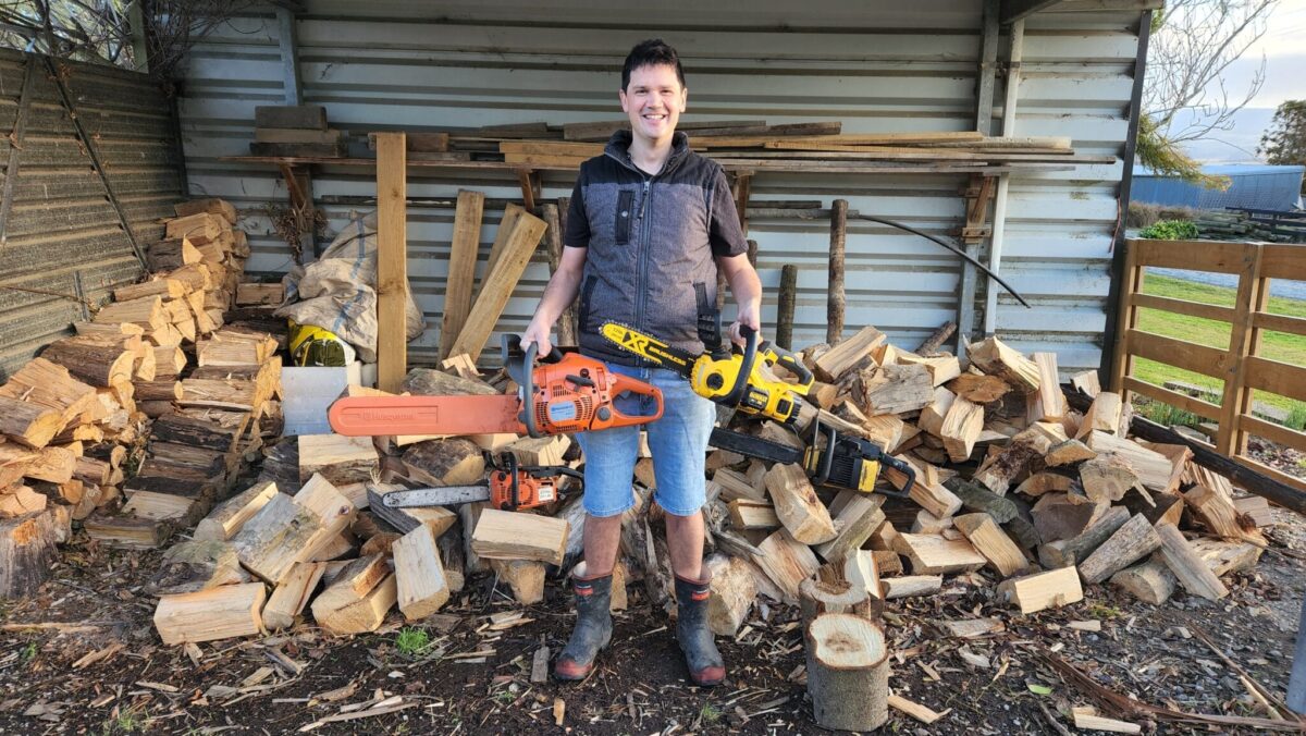 best beginner chainsaws