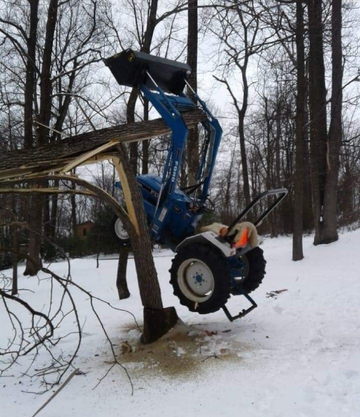 what causes a tree trunk to split vertically