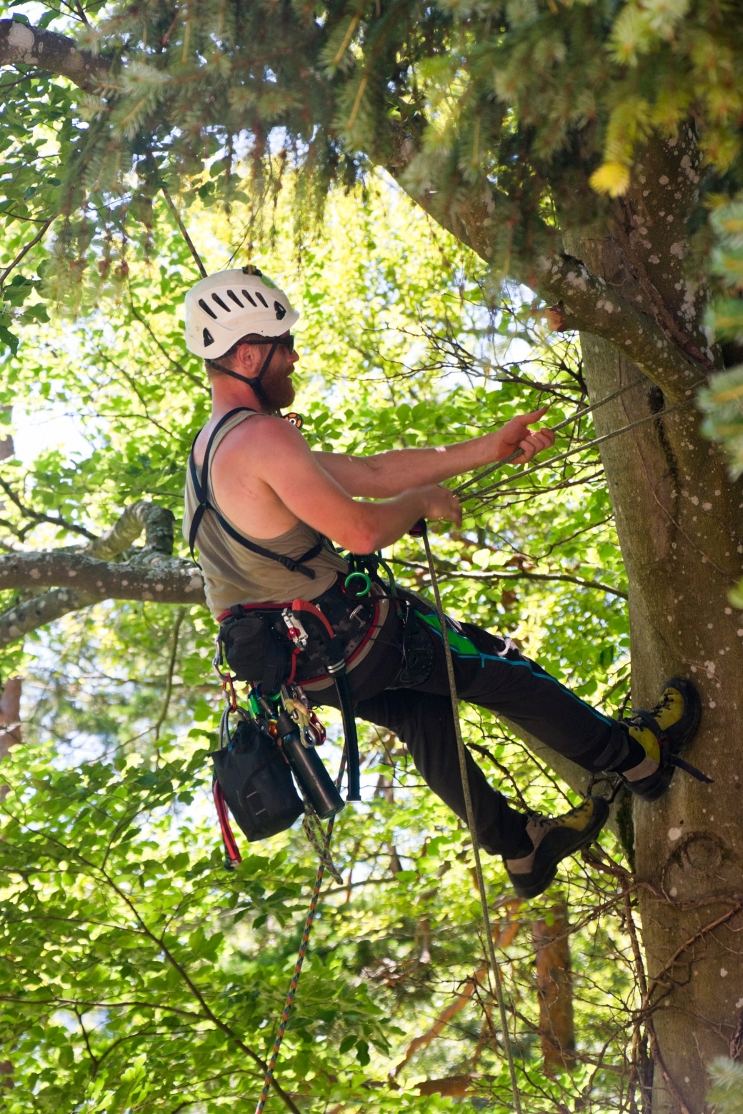 Tree on sale climbing boots