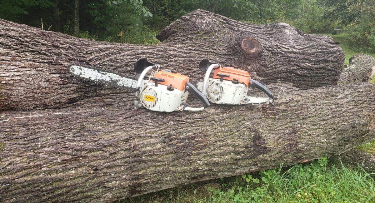 stihl 041 review and versions