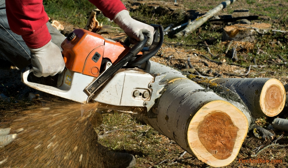 Stihl MS380 Chainsaw Review [2024 ] Specs, Years Made, Price