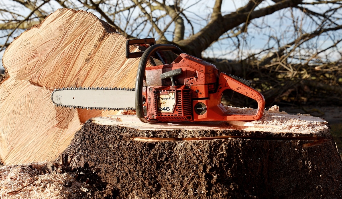 CHAINSAW, Stihl MS-291 %5 OFF!!! Discounts @ CHECKOUT!!! FREE