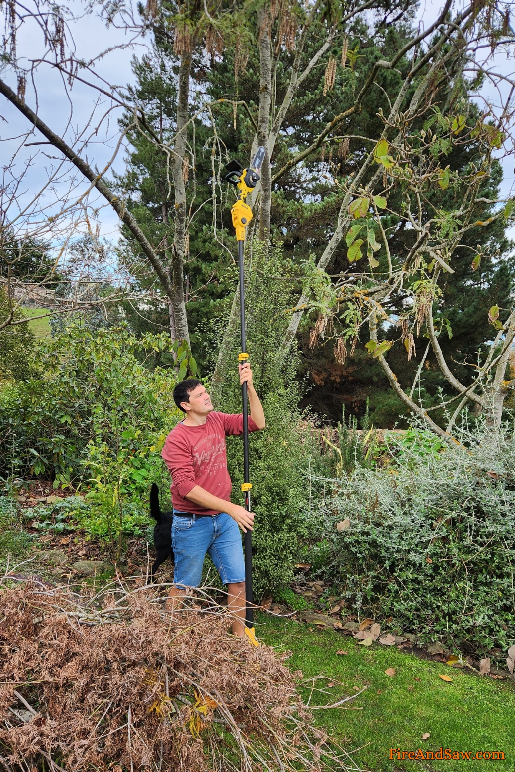small chainsaw with extension pole