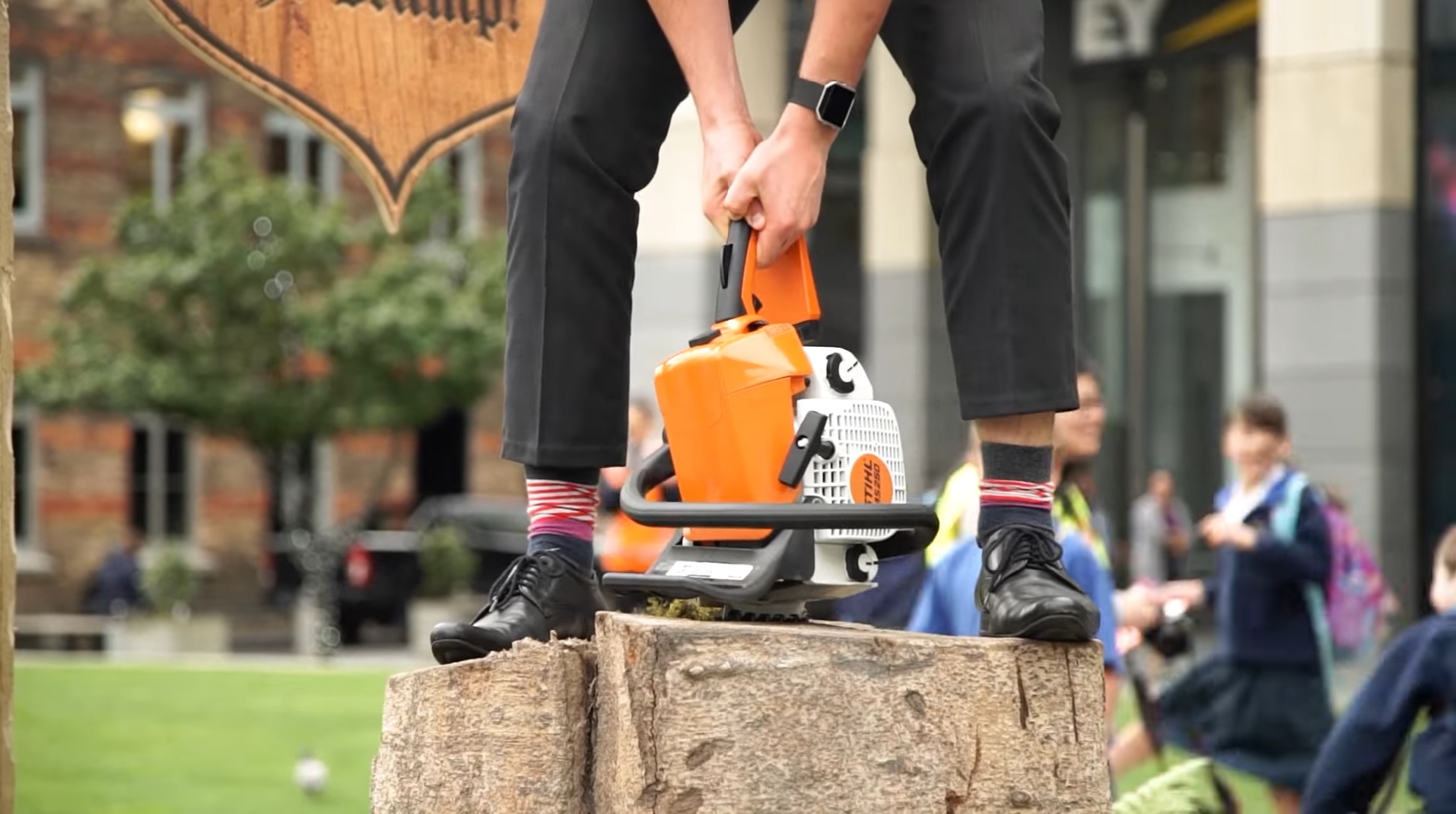 new zealand stihl excalisaw competition