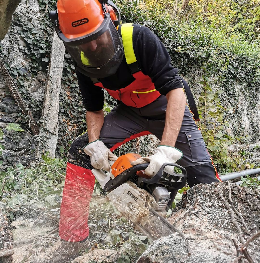 Test: Motorsäge Stihl MS 311 - unsere Jagd 9-2022