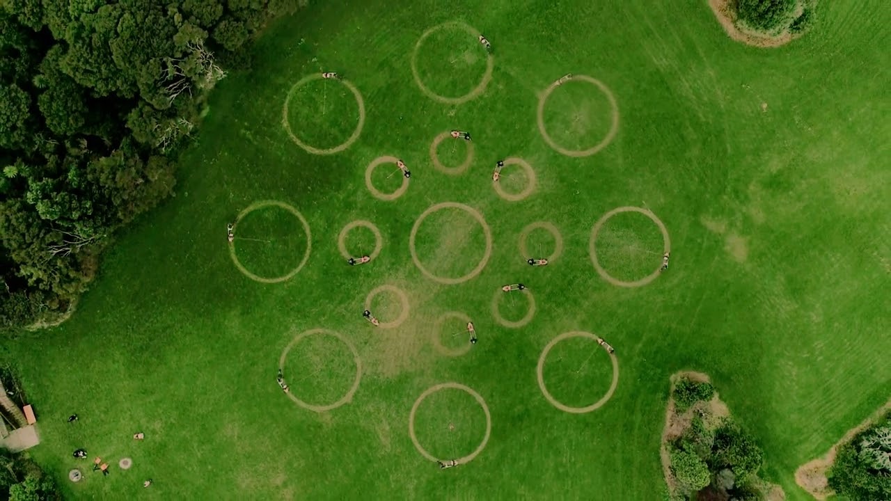 crop circles made by stihl