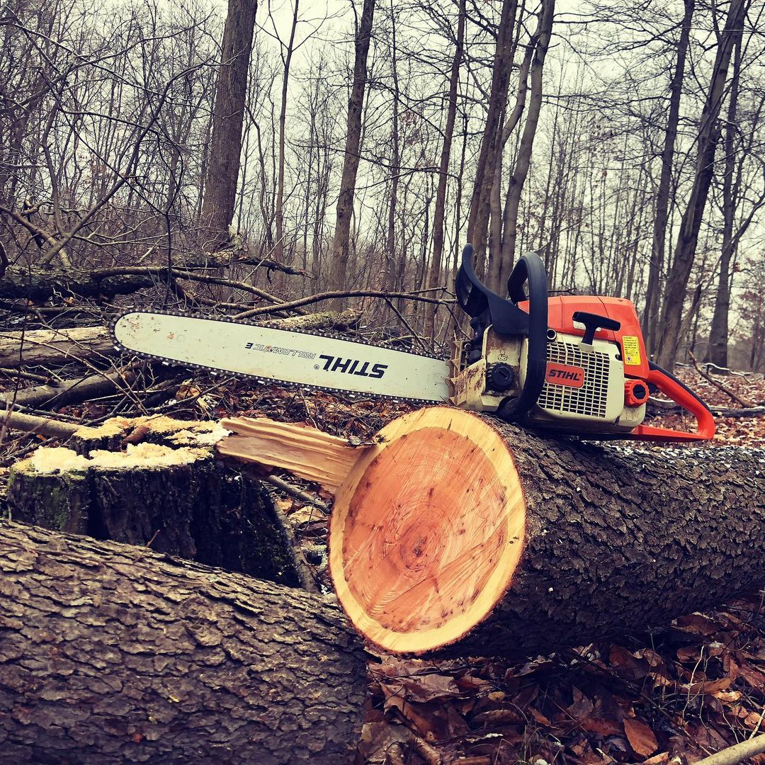 STIHL 029 (And 029 Super): A Firewood Saw At A Good Price