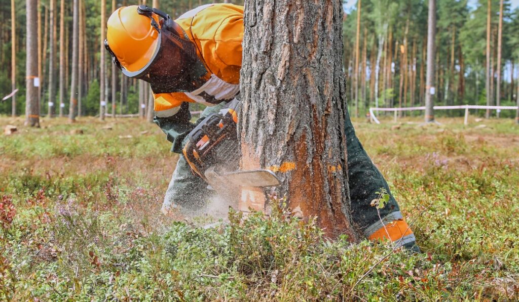 STIHL TSA 230 Battery Cut Off Machine: 