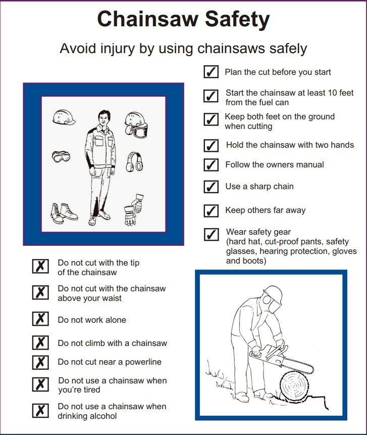 chainsaw safety guide