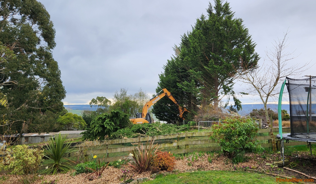 removing trees with excavator
