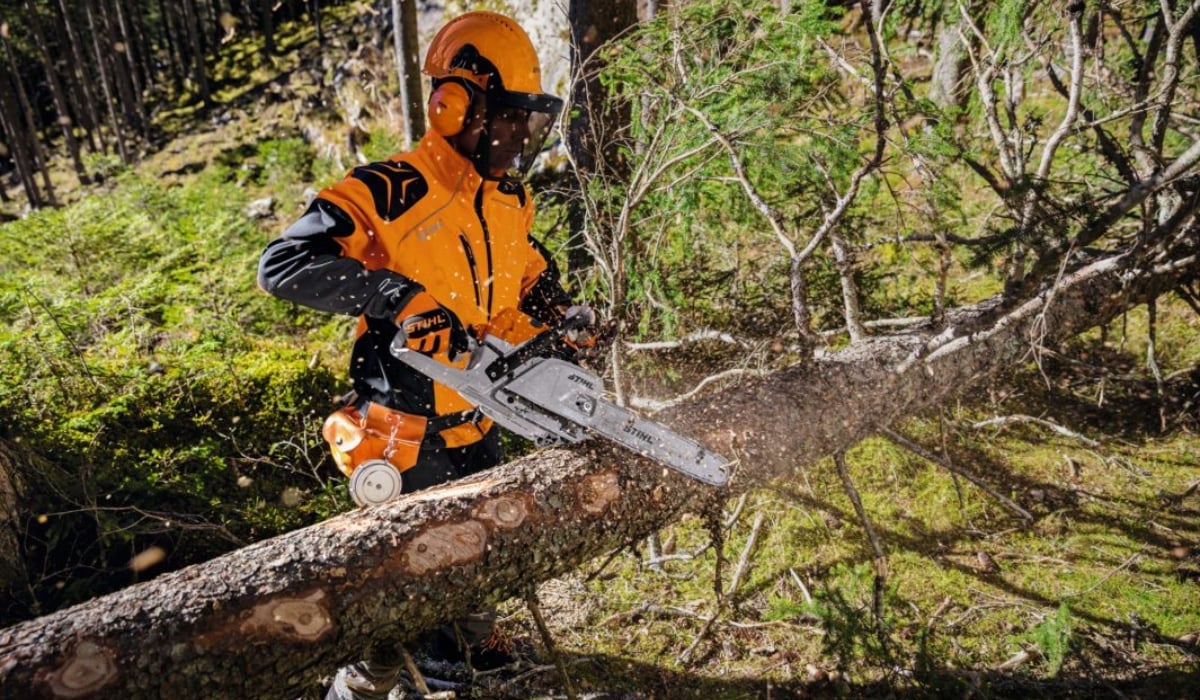 STIHL MS 241 Chainsaw Review: "Downsized Version Of The 261"