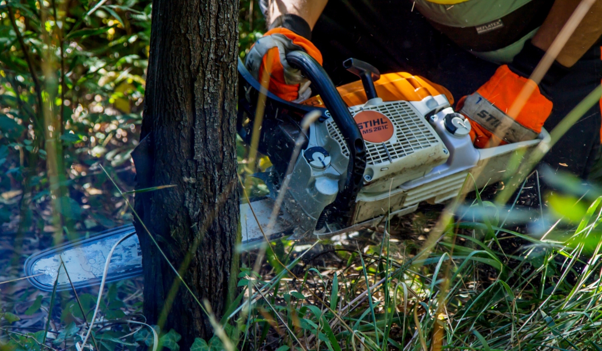 stihl ms 391 vs 261 c