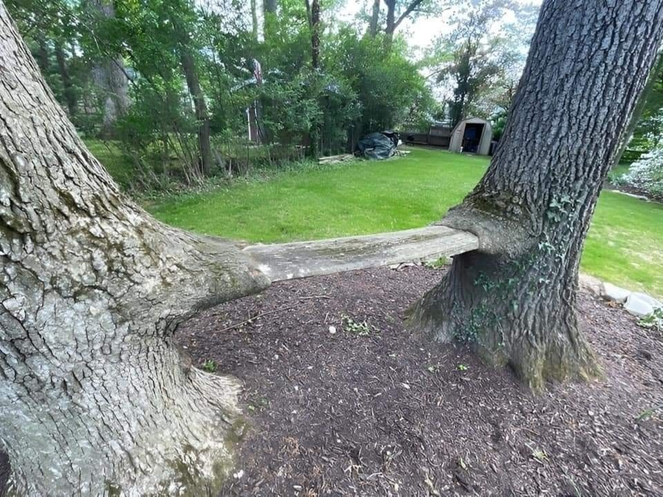 make a bench between two trees