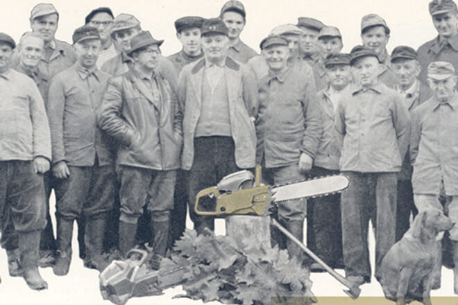 gold color stihl contra