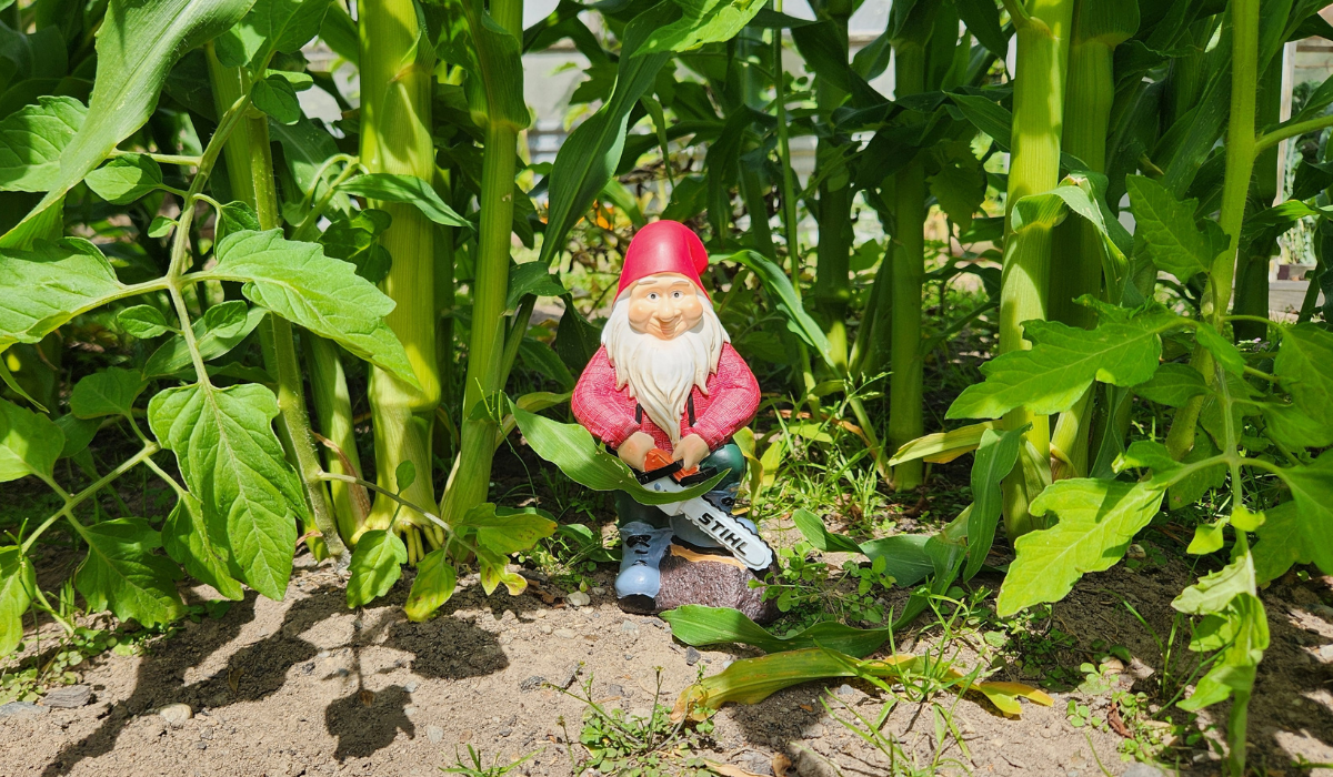 stihl garden gnome NZ