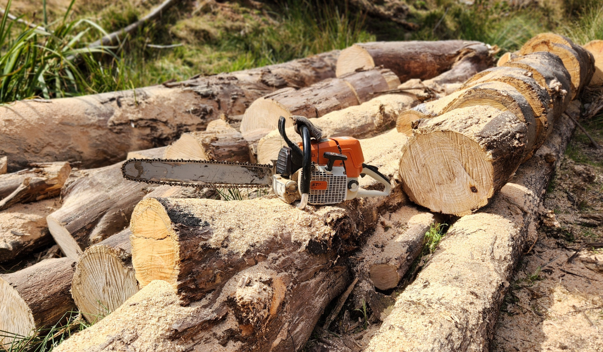 comparing stihl 044, 440, 441