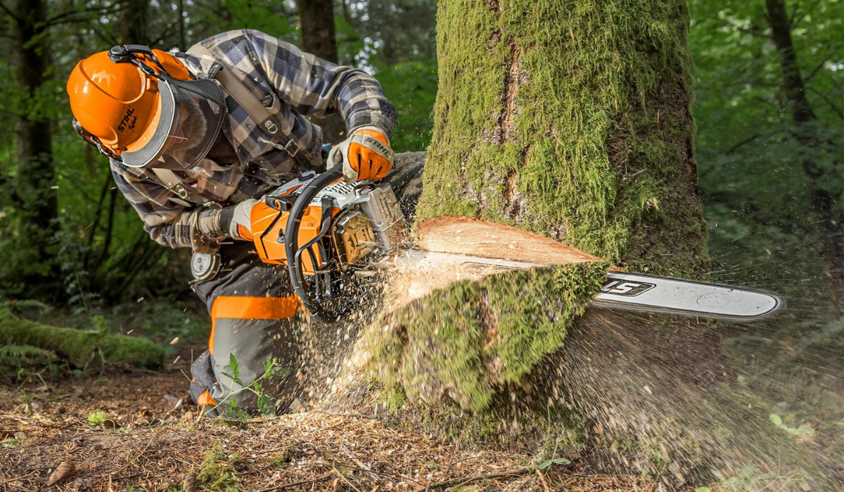 What Does R Mean On STIHL Chainsaws what-does-r-mean-on-stihl-chainsaws
